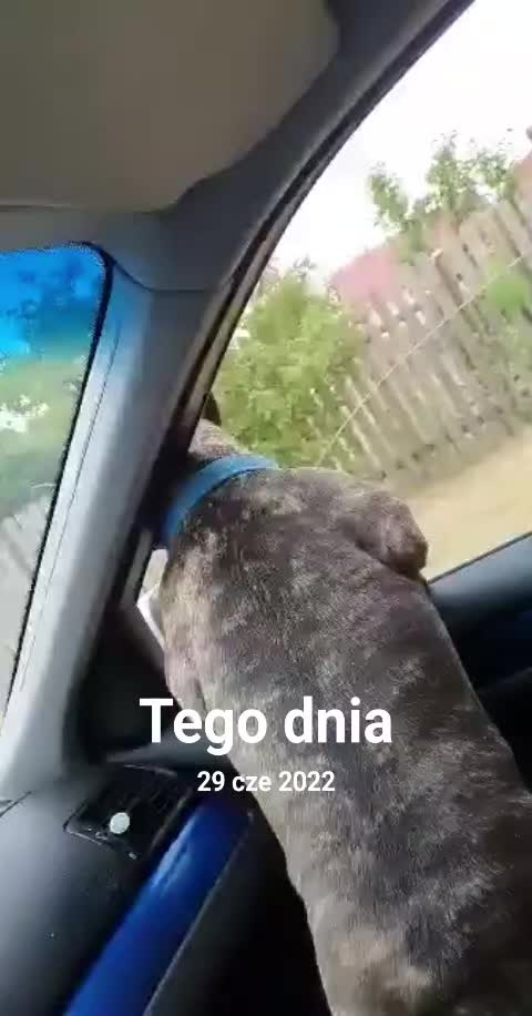 @malina.9696