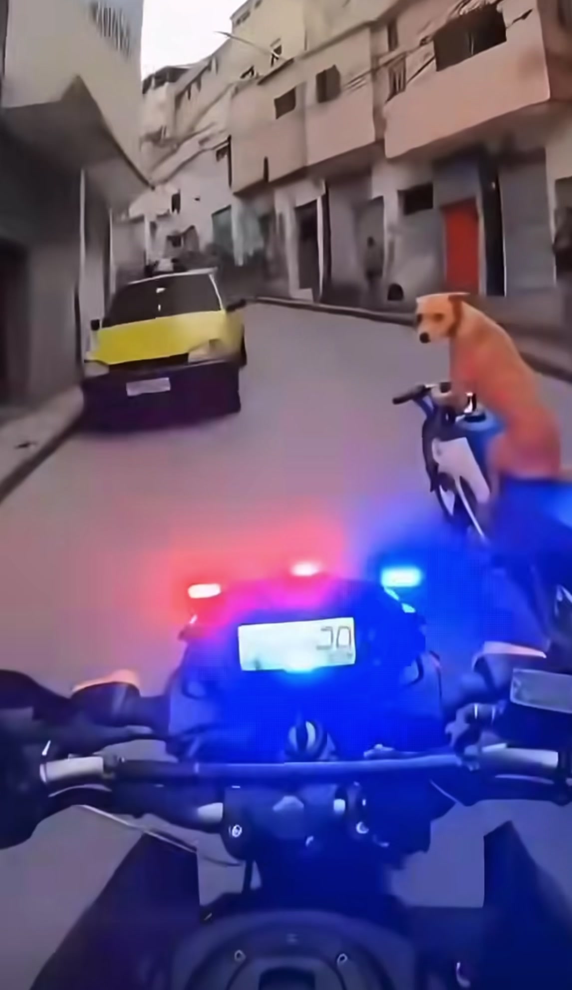 @𝙳𝚎𝚡𝚡 𝙻𝚊𝚋𝚜
