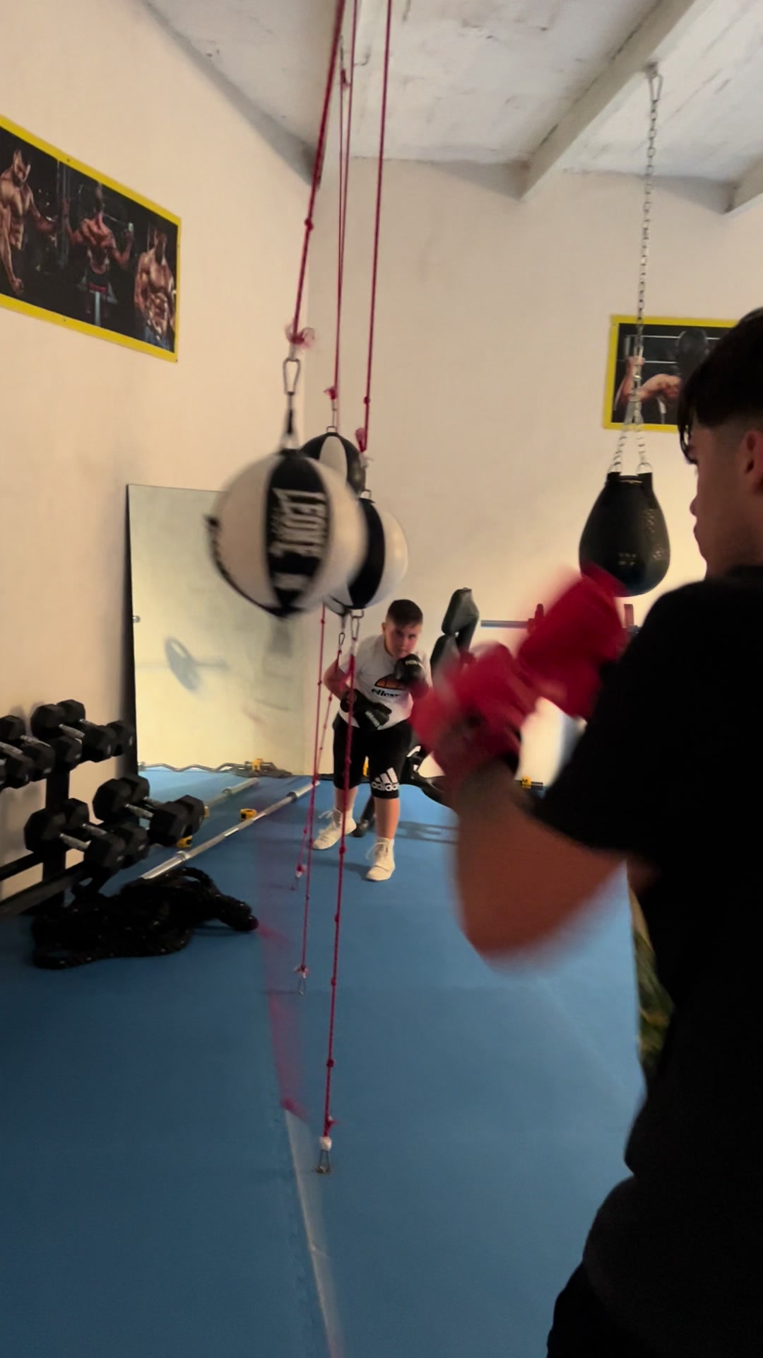 @Boxe GiuseppePizzo