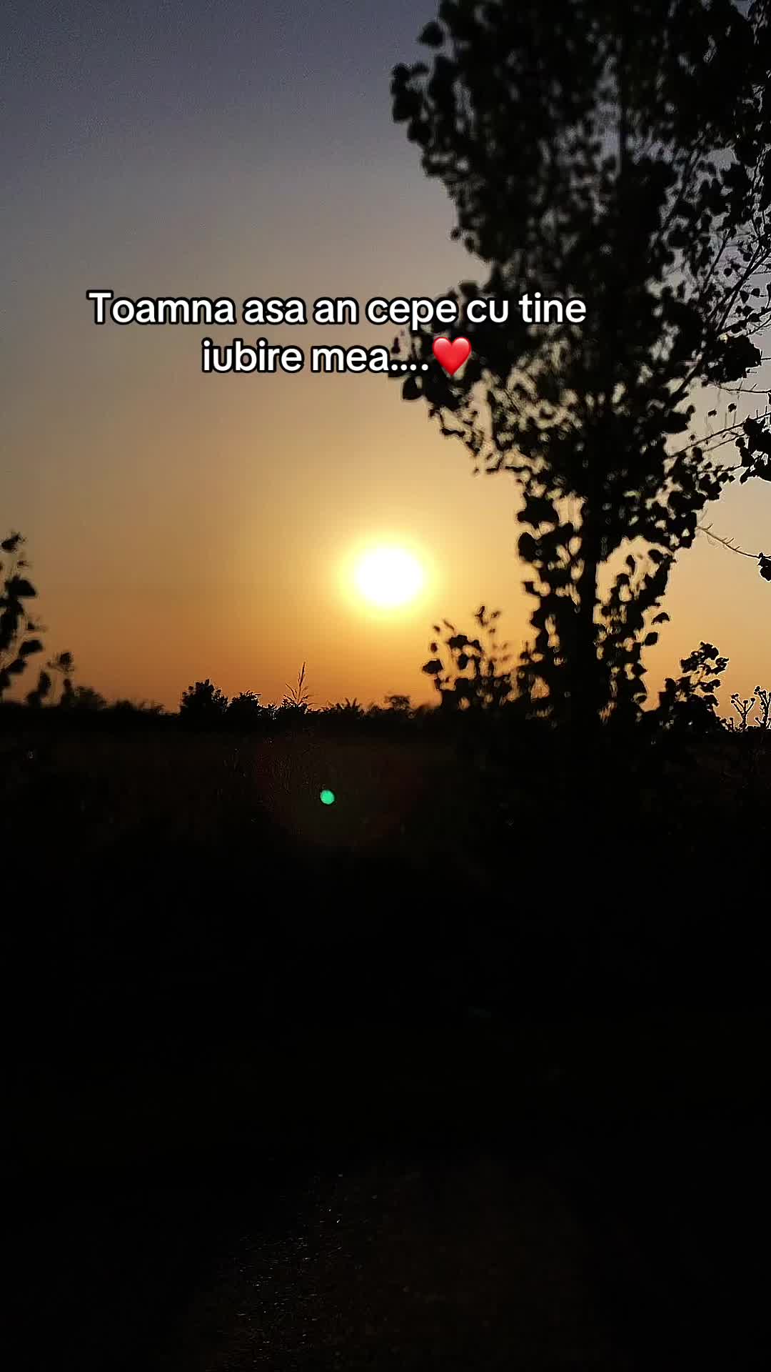 @habibby10
