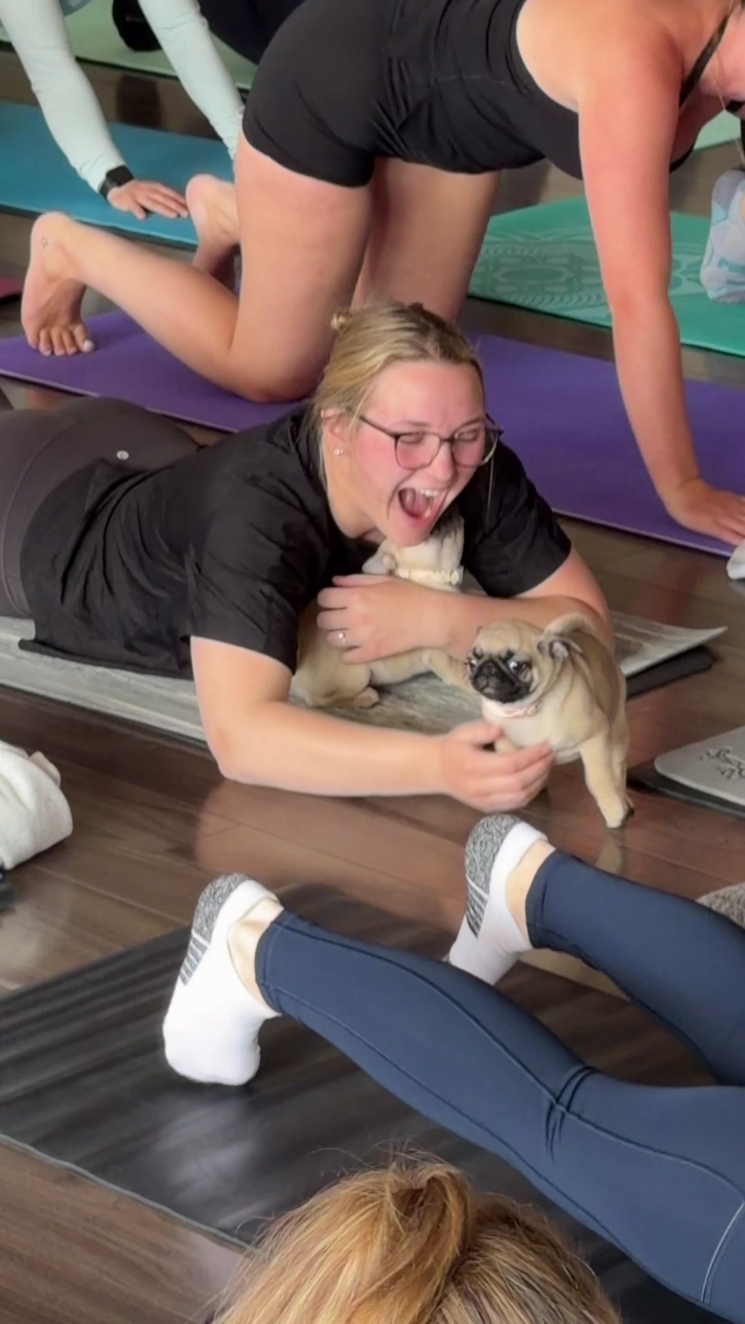 @Muskoka Puppy Yoga