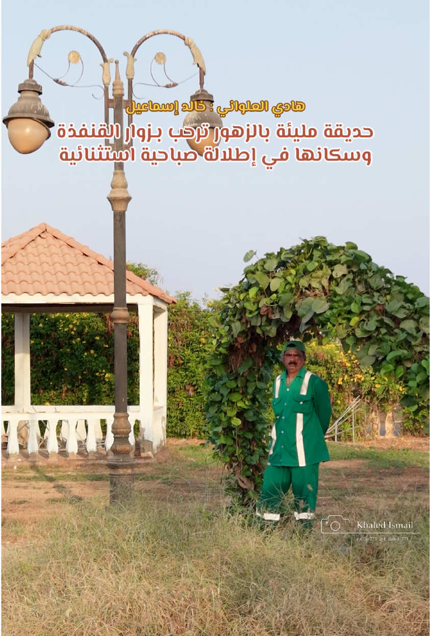 @هادي العلواني القنفذة