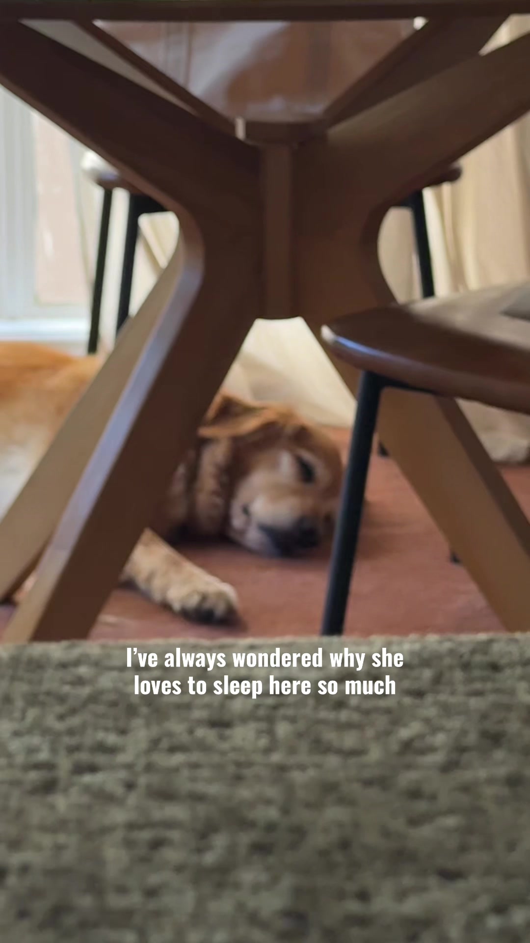 @ANGIE LIU
