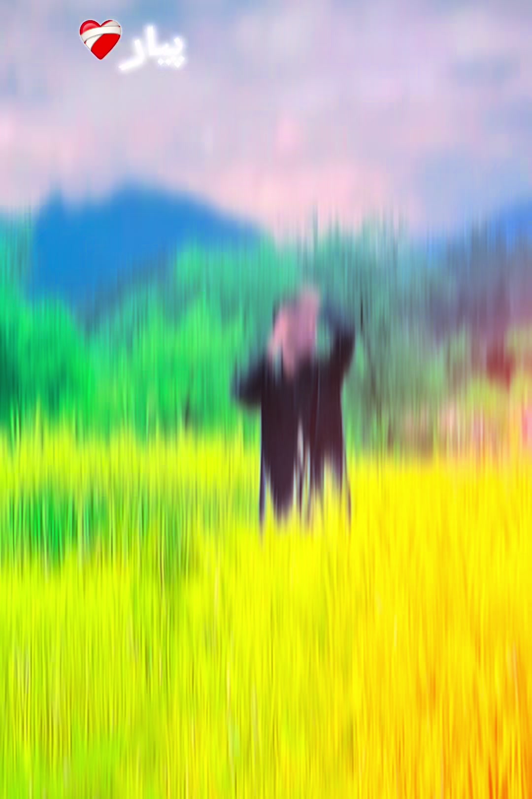 @★彡[ZEFOX AHMED ]彡★