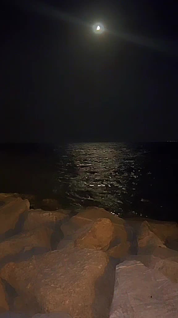 @monuttan