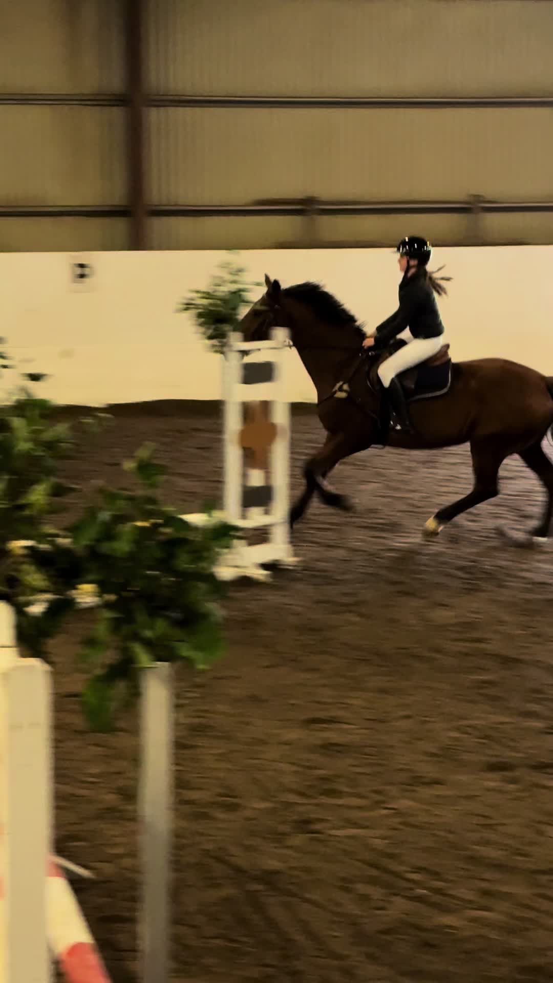 @Equi_…