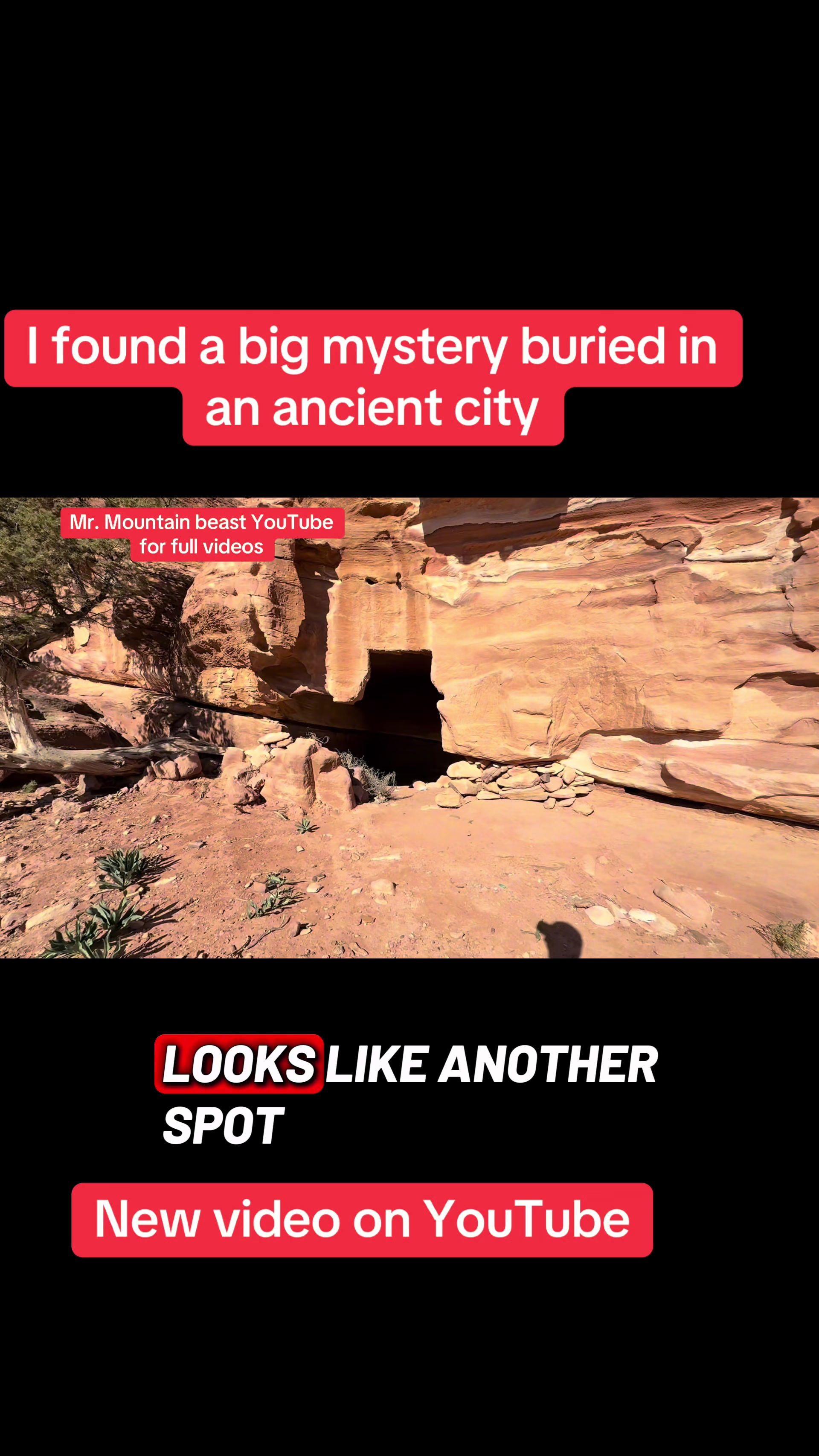 @Mr.mountainbeast