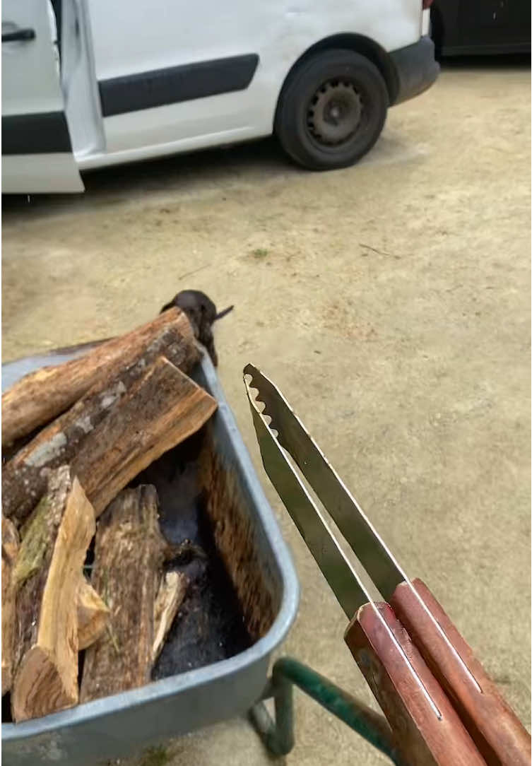 @Nashouille_tackle