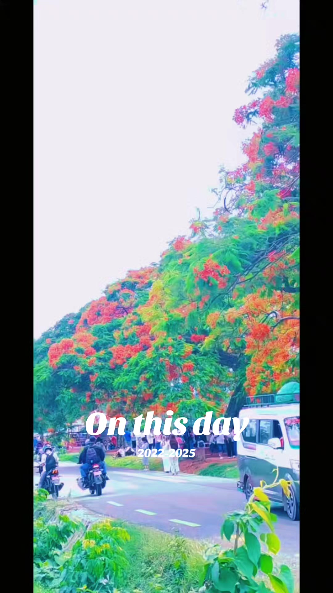 @life is beautiful film 💕😍😍