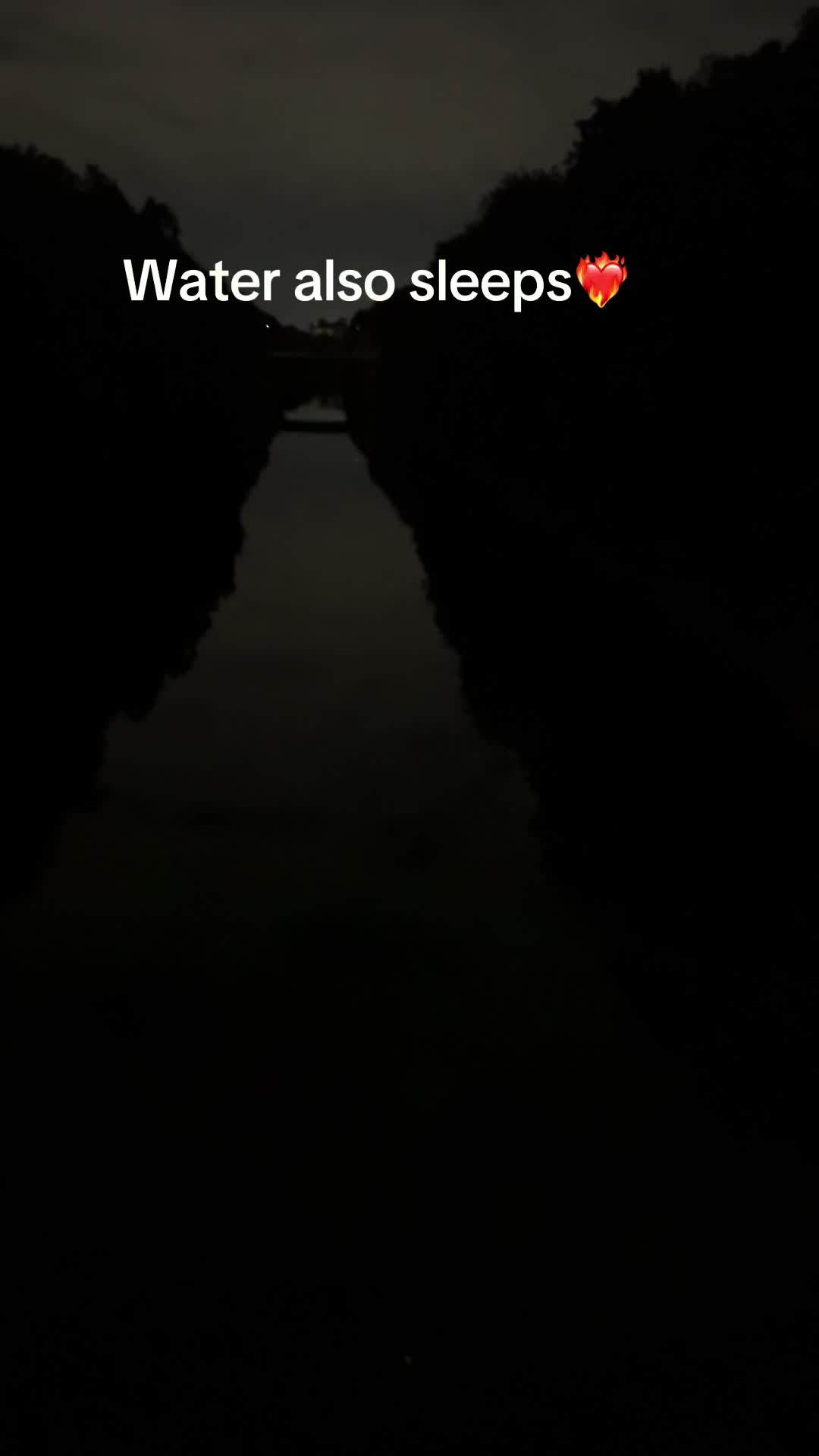 @milo.aesthetic