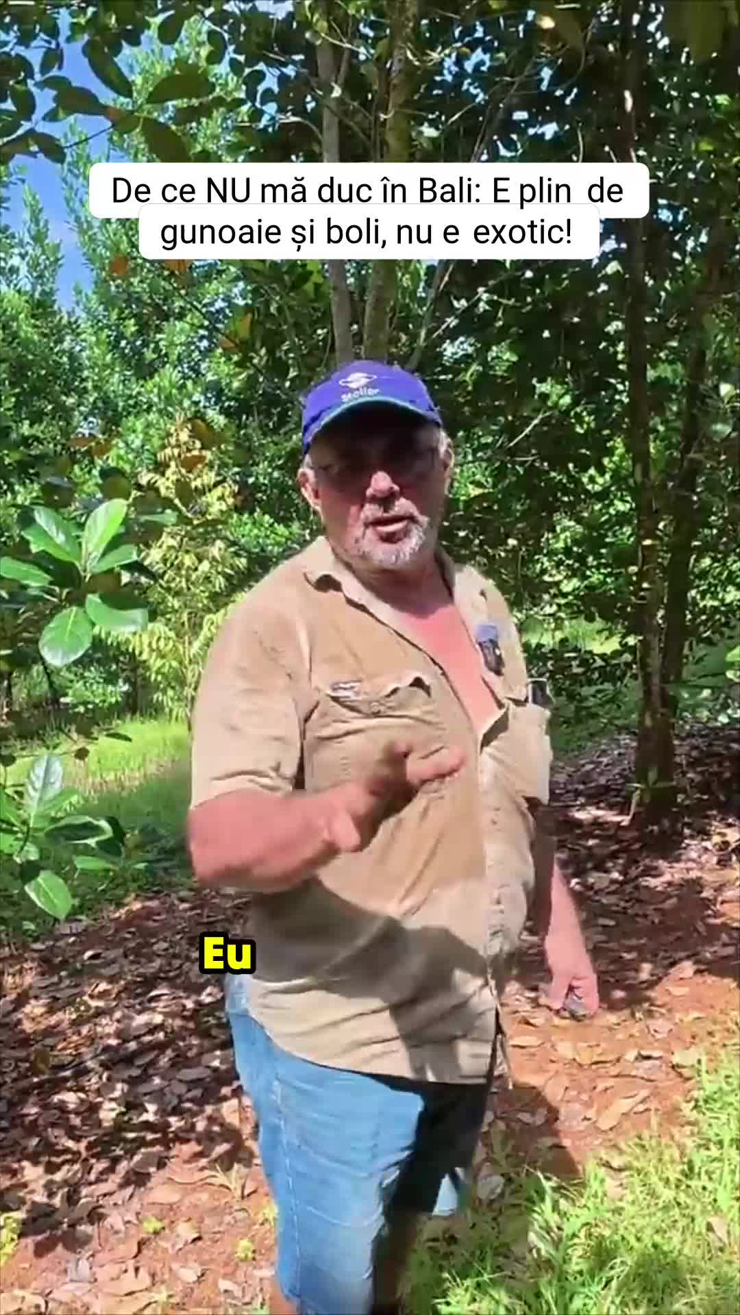 @sorinaa
