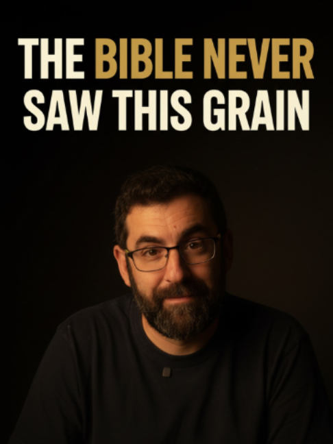 @Elon Gilad