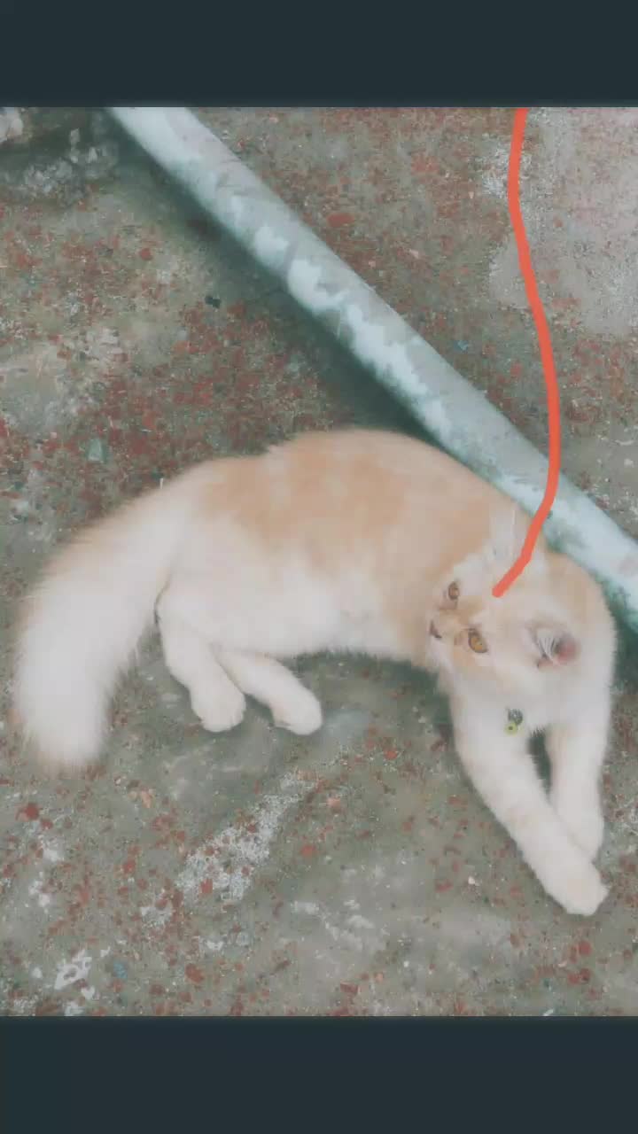 @ময়না👧
