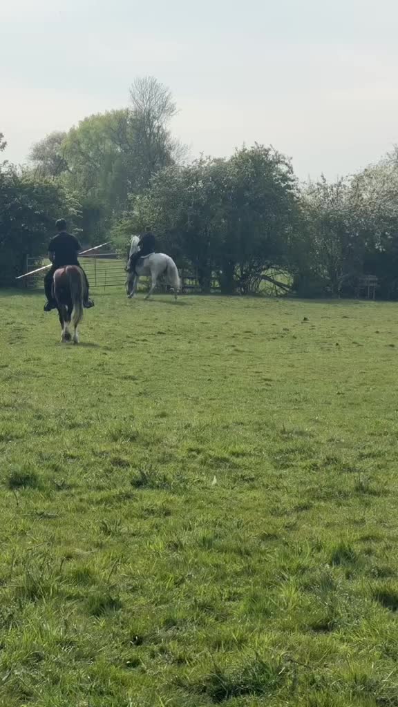 @Slough horses