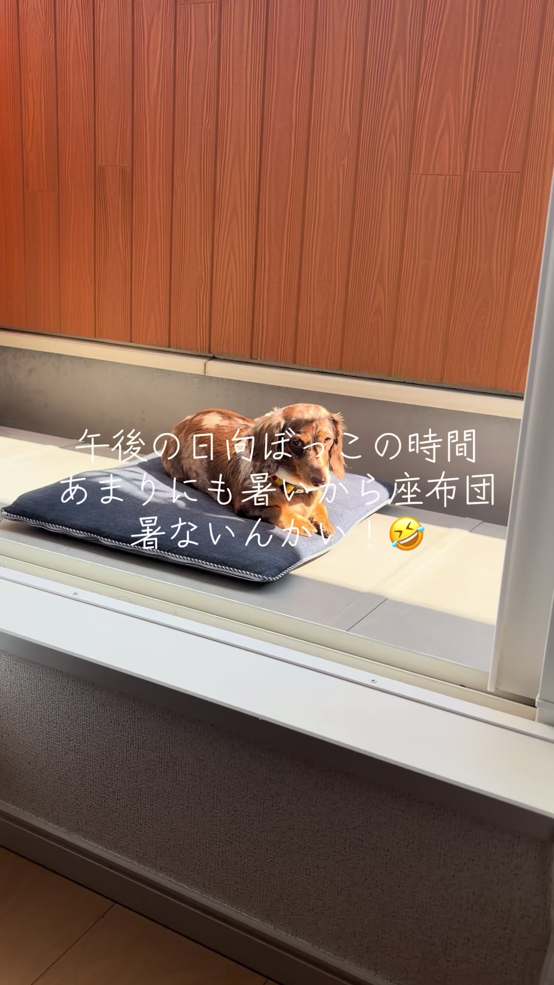 @ケン