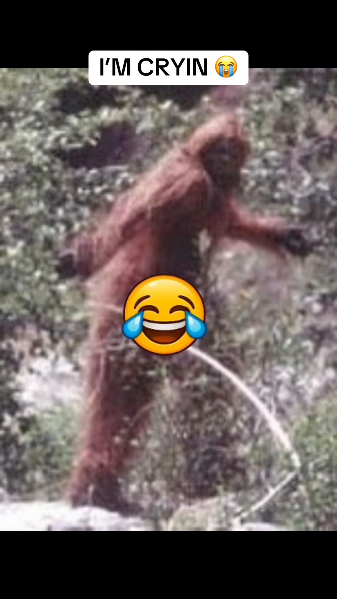 @alienimpact