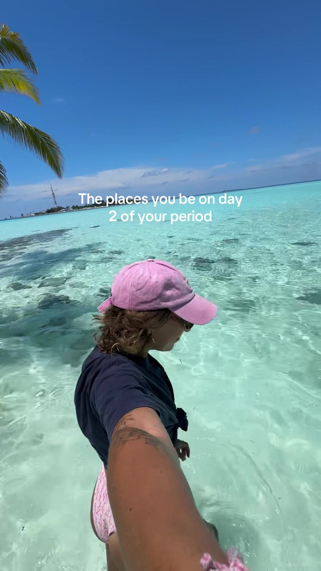 @Klara Travels 🐚