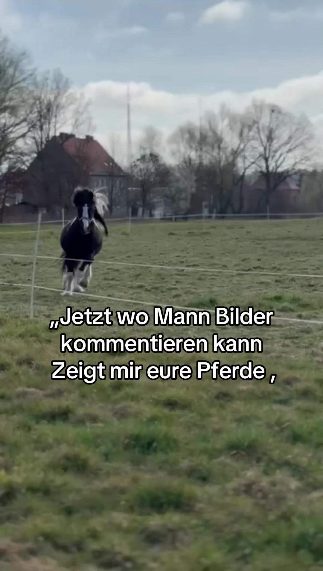 @Horses