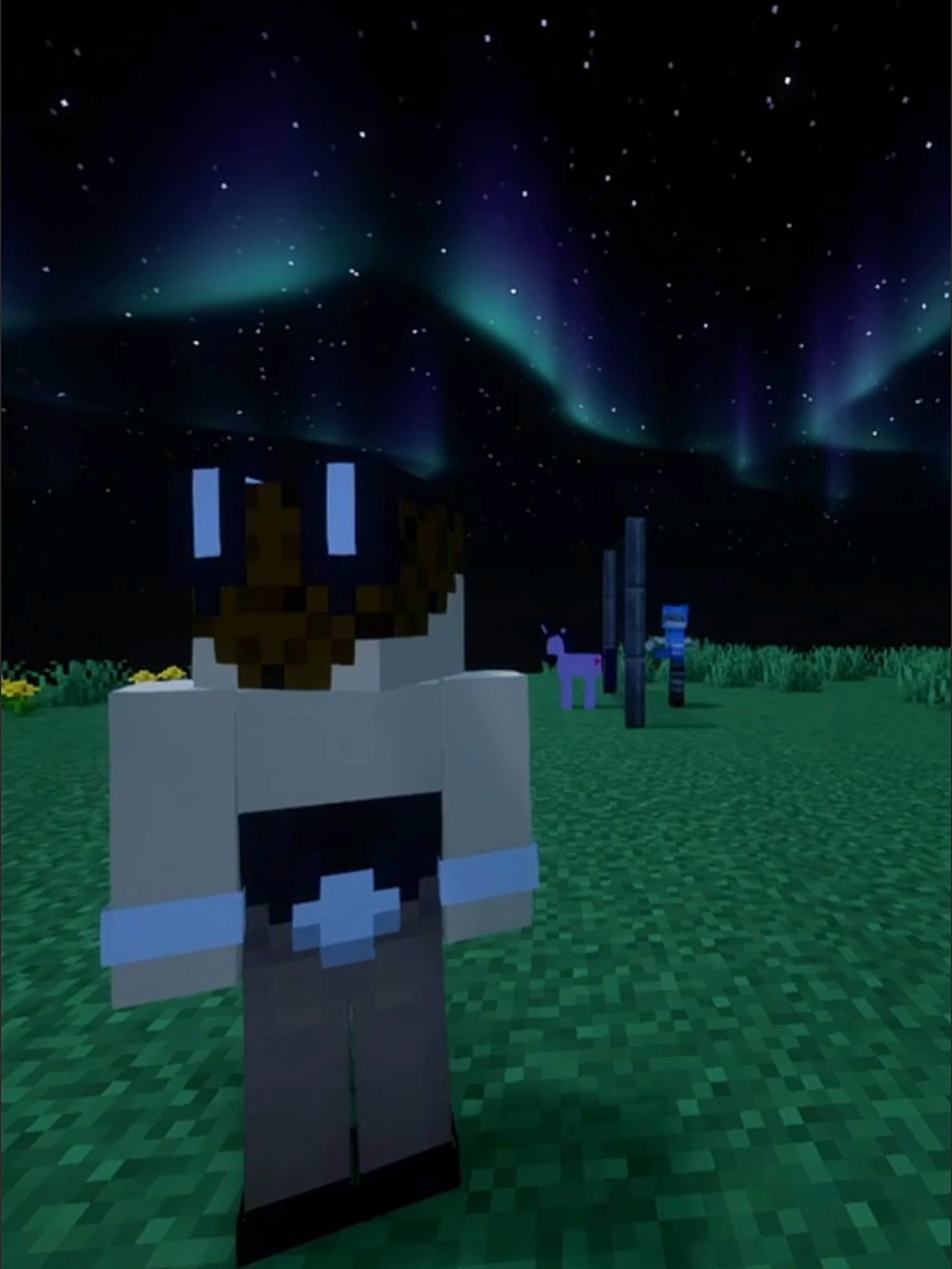 @Barder1080YT