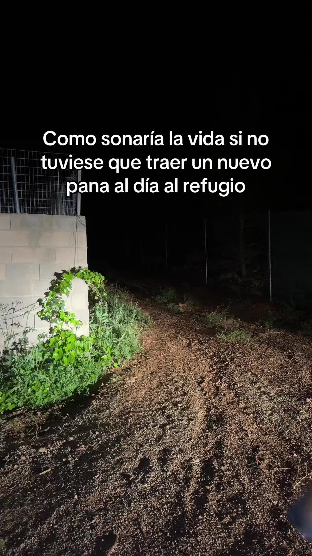@ecojuanmanuel