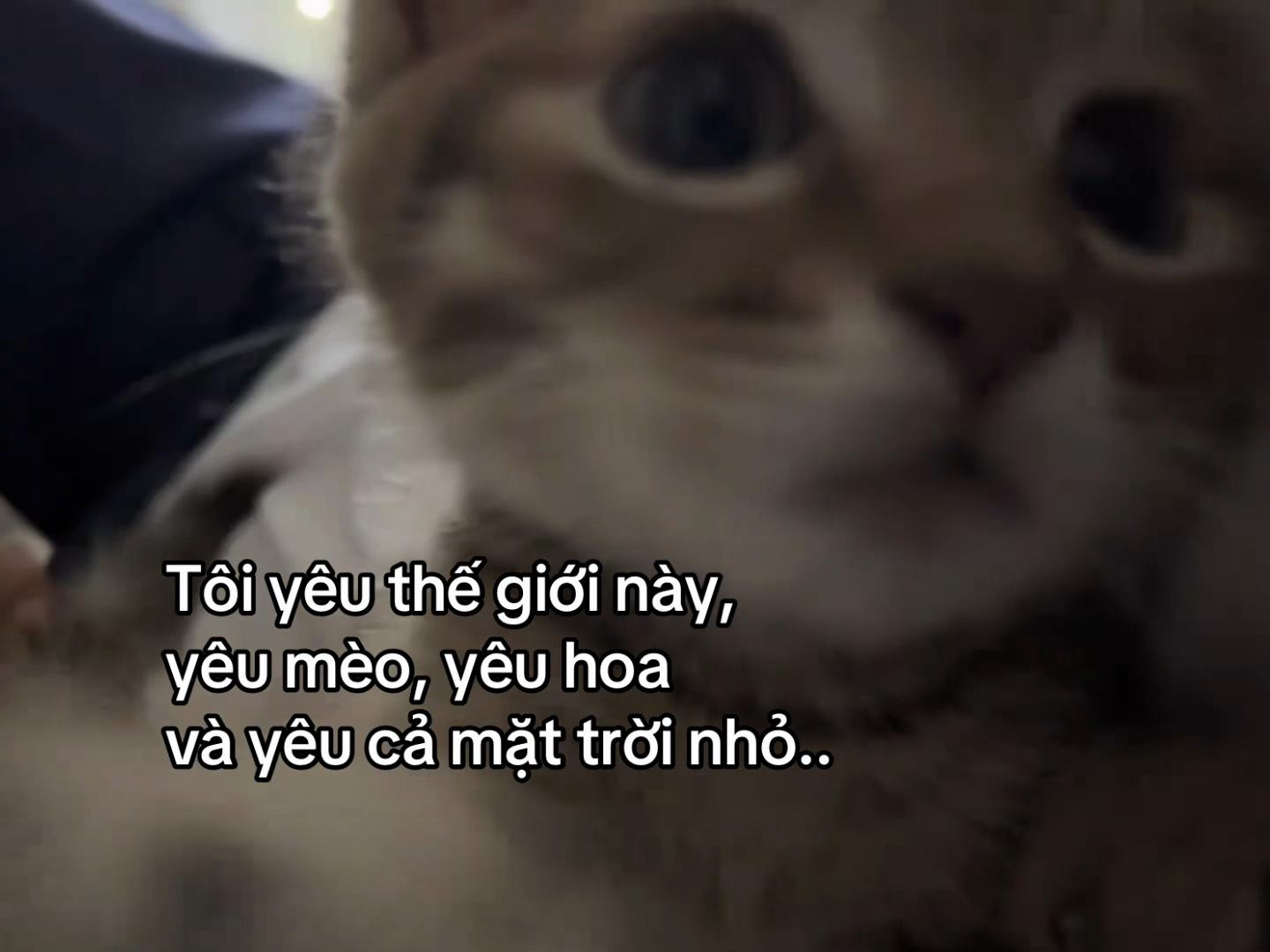 @๐ด๐ ๐ซ๐๐๐๐ ๐ค