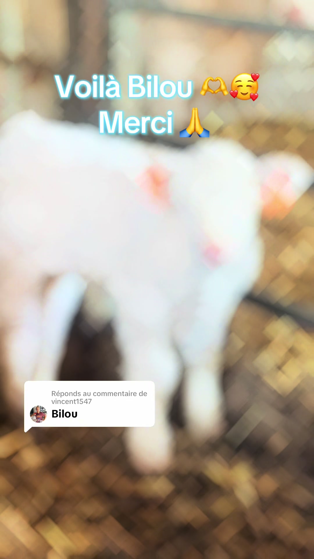 @ᏦᎥᎥᏦᏗᏗ 🌾🚜🐮