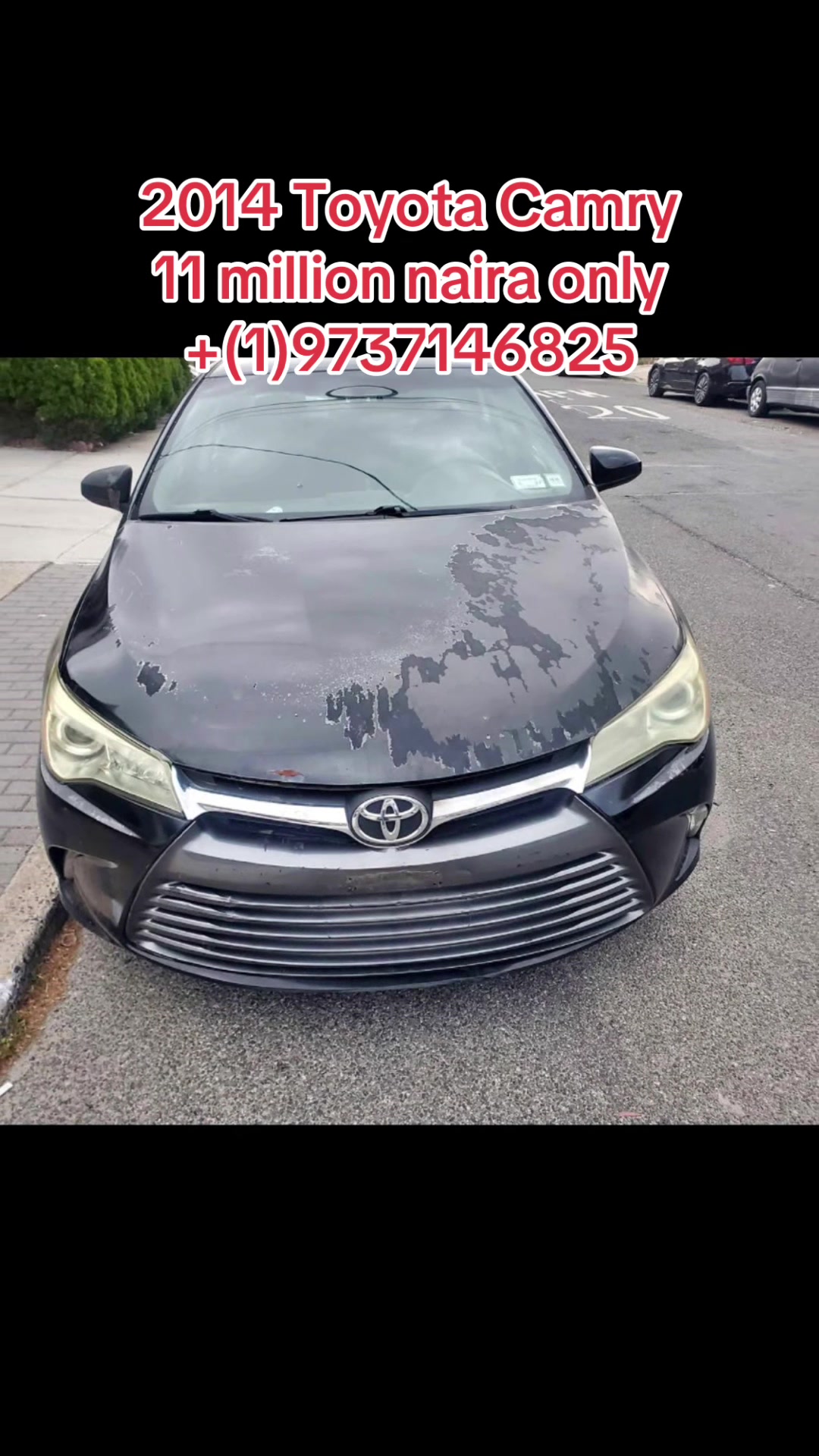 @Emerald Luxury Rides