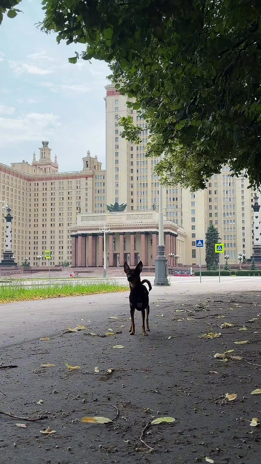 @Евгения