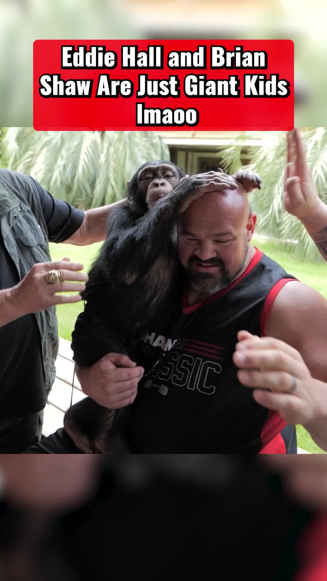 @Eddie Hall - The Beast