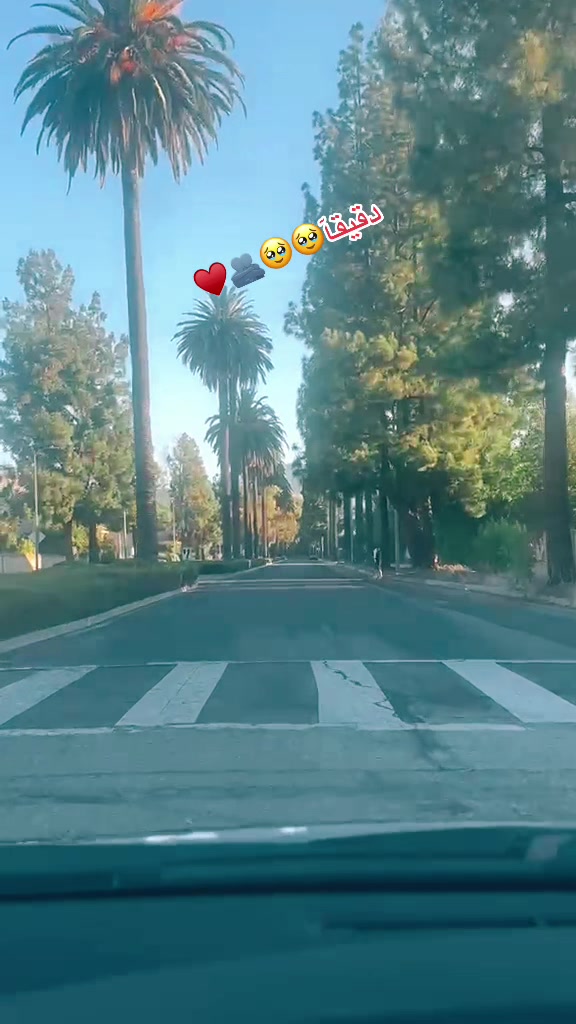 @asaljan0012