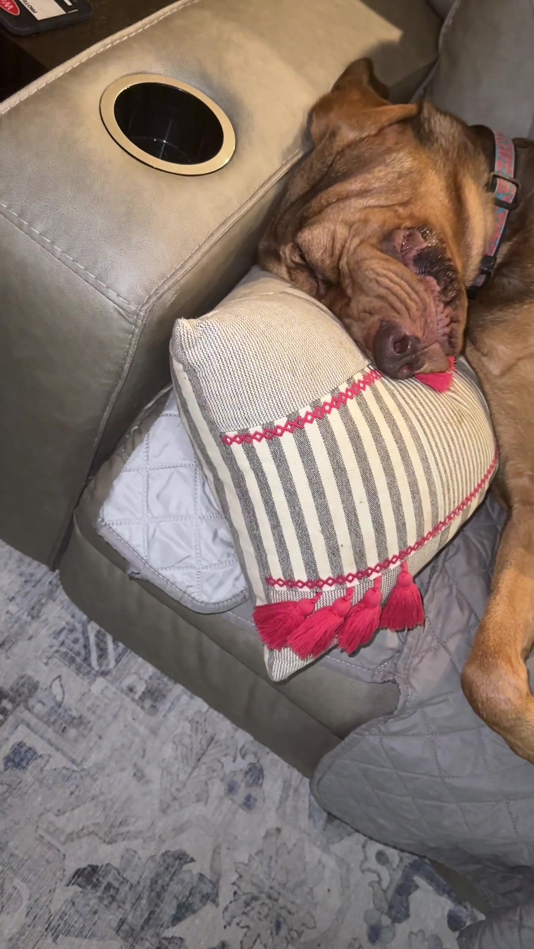 @earl_the_drooling_dog