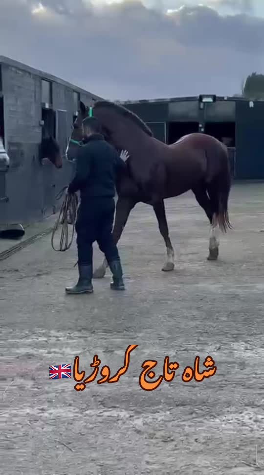 @Taqdees gillani