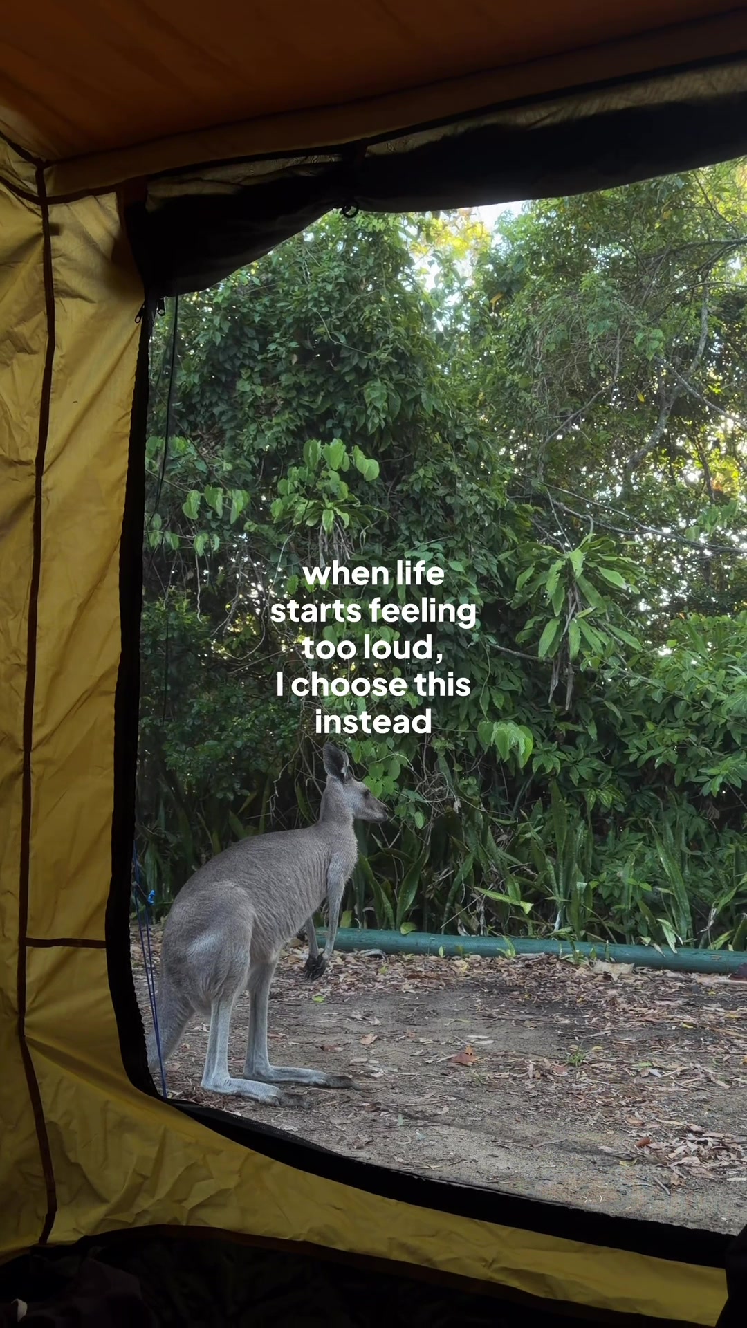 @Eleanor 𖦹 hiking & camping