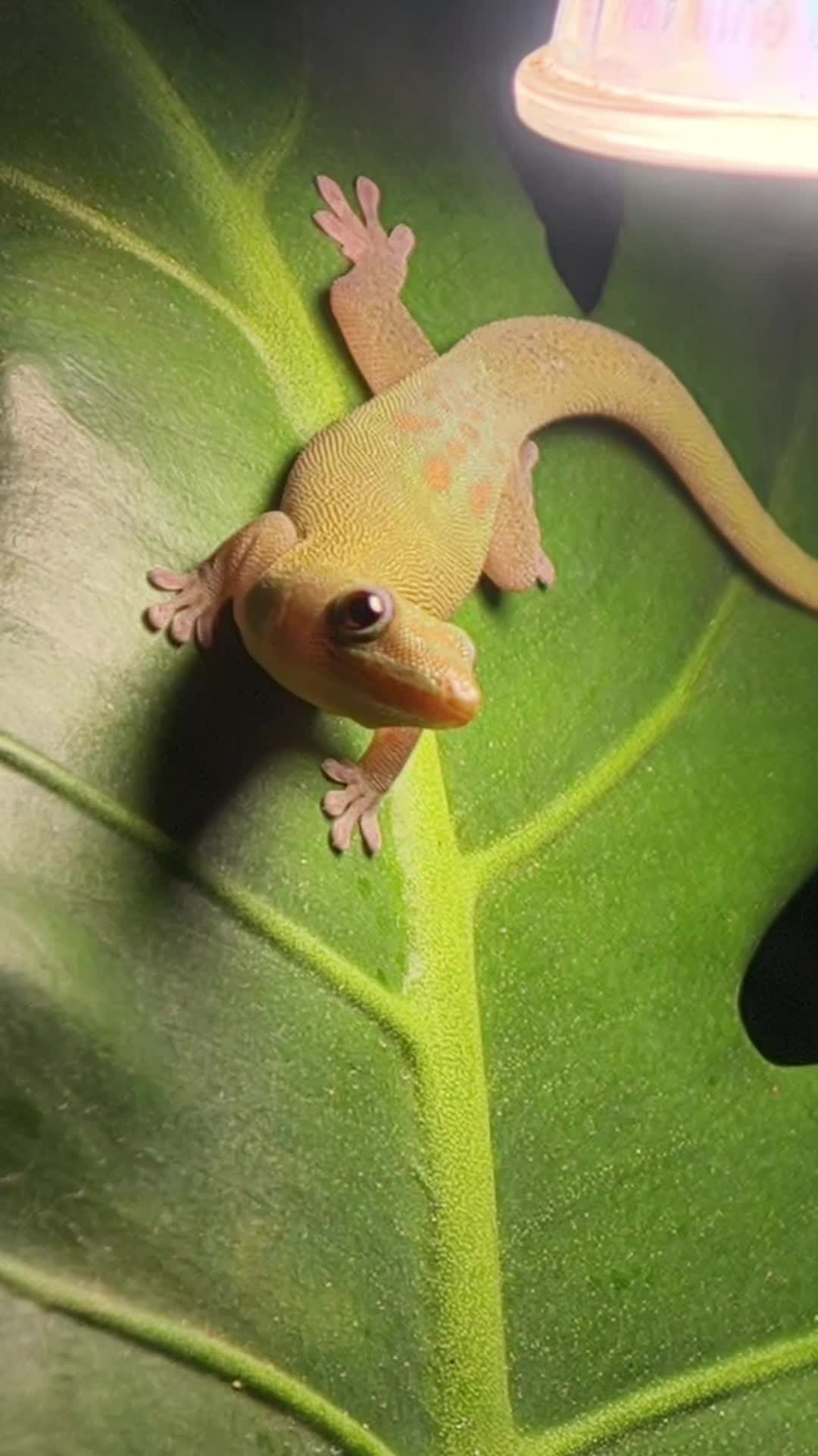 @Bestiesbeasties