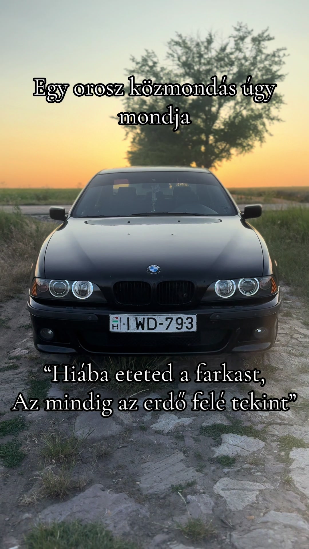 @Vikii Méhes