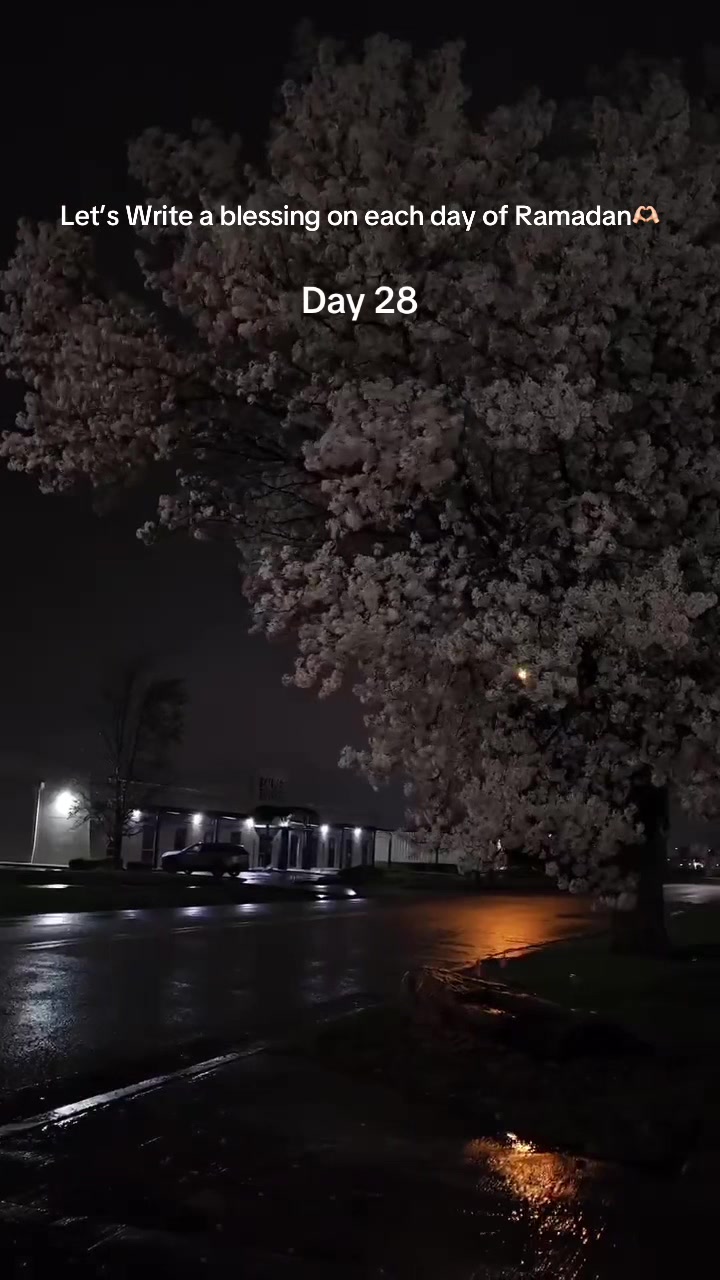 @deenaesthetics
