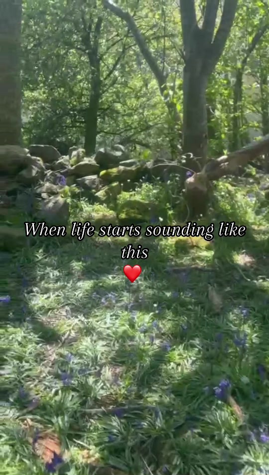 @LOTRHobbitEdits28