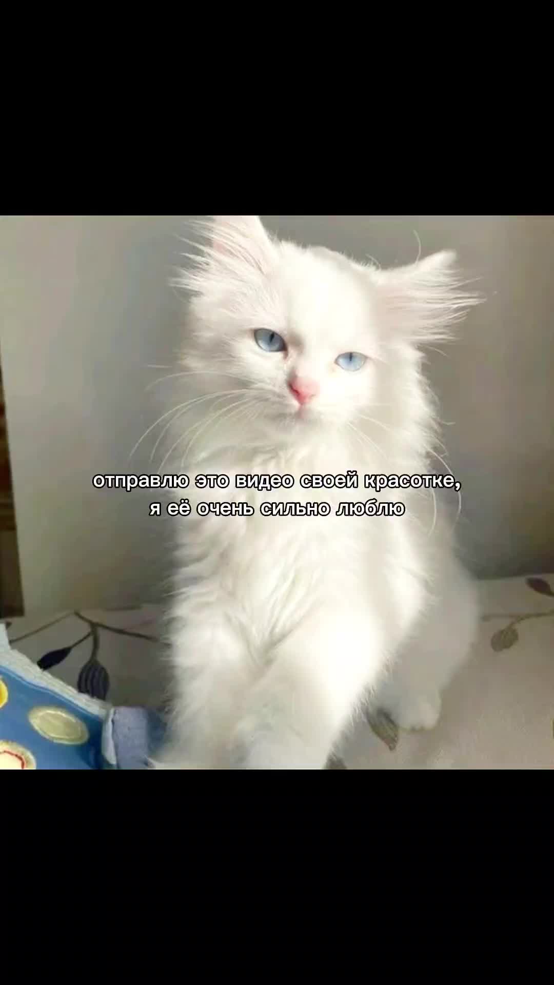 @dwee