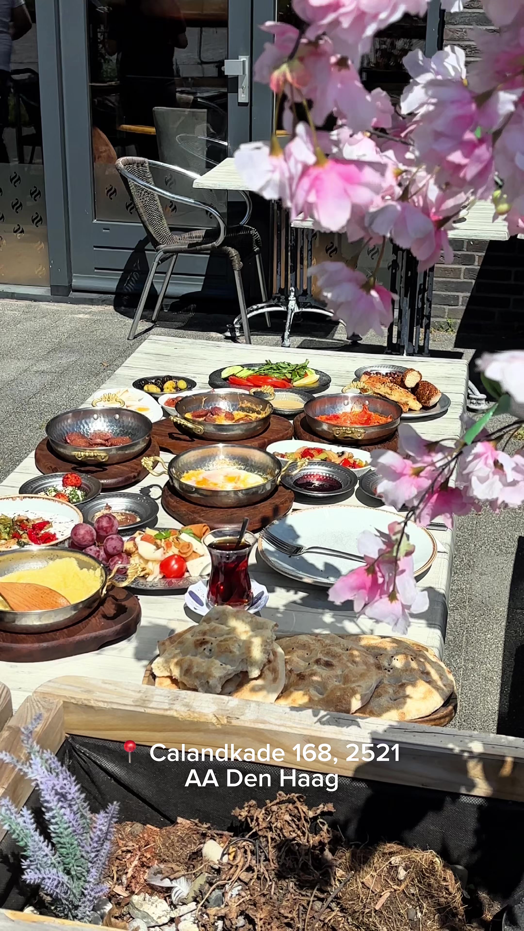 @Sohbet bbq