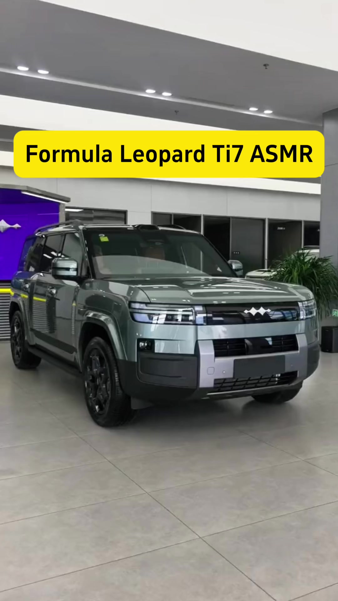 @revopanda_auto_china