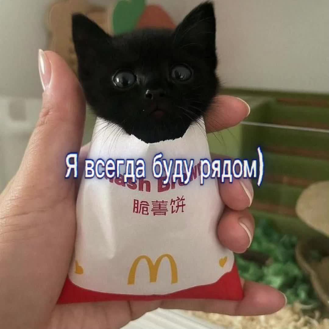 @Я люблю Машулю