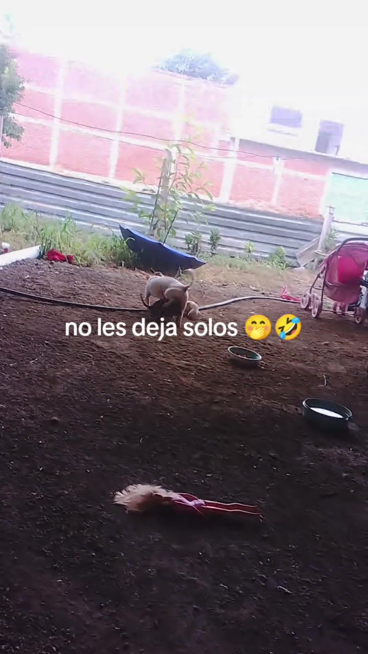 @Maribelguerra80