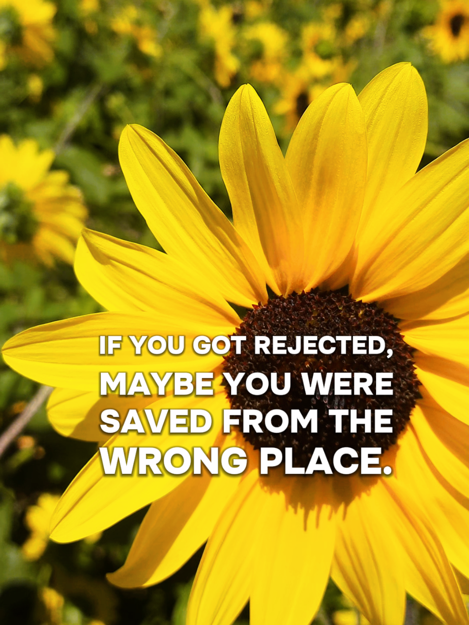 @sun r