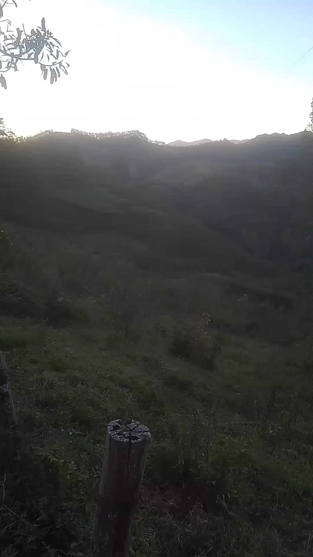 @Fernando mineirinho