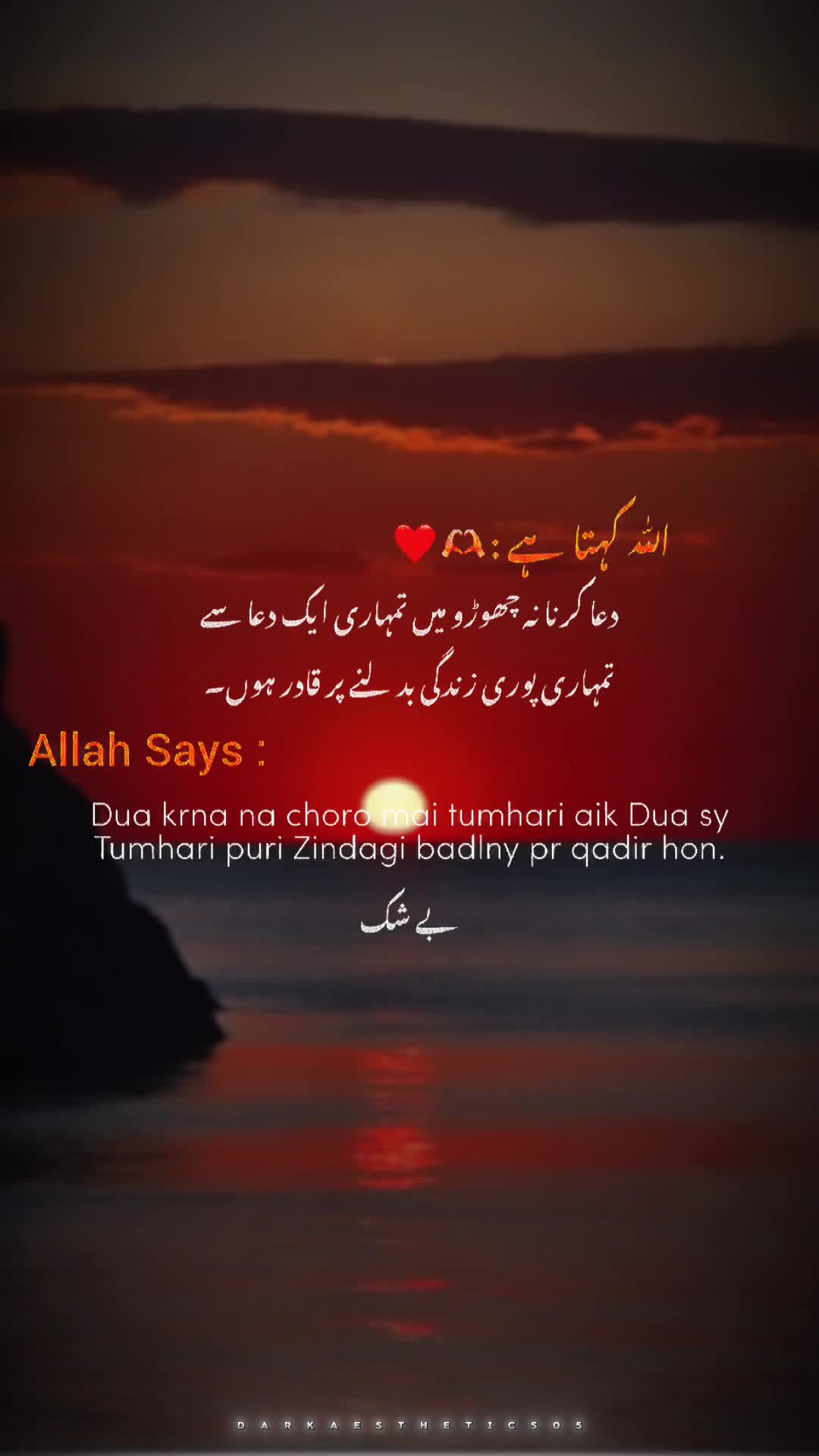 @🦋Aisha🦋