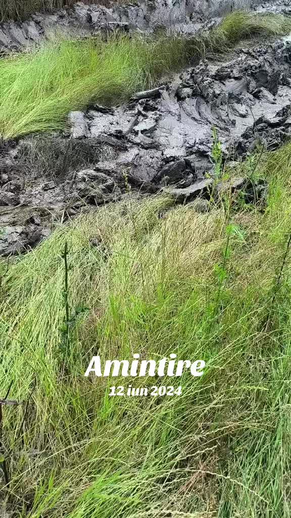@AgroAndrei2009