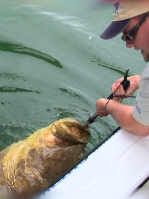 @Fishing TV