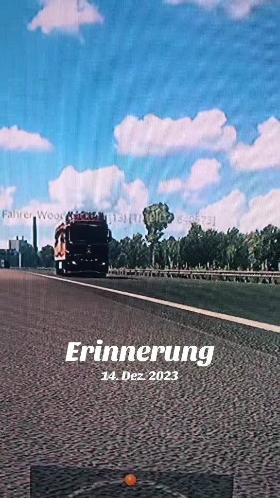 @WFG_ETS2_MP