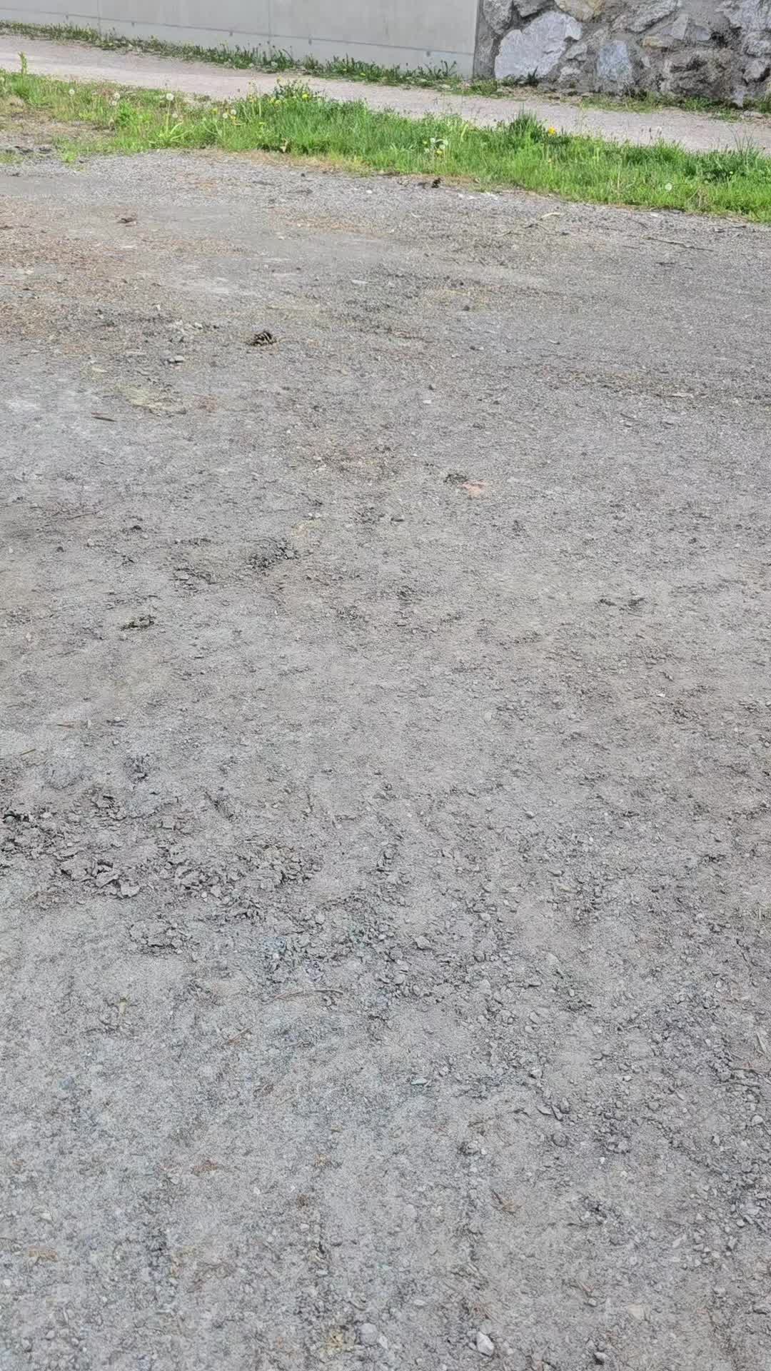 @diggerkurt🇦🇹🇦🇹🇦🇹🇦🇹🤟💯