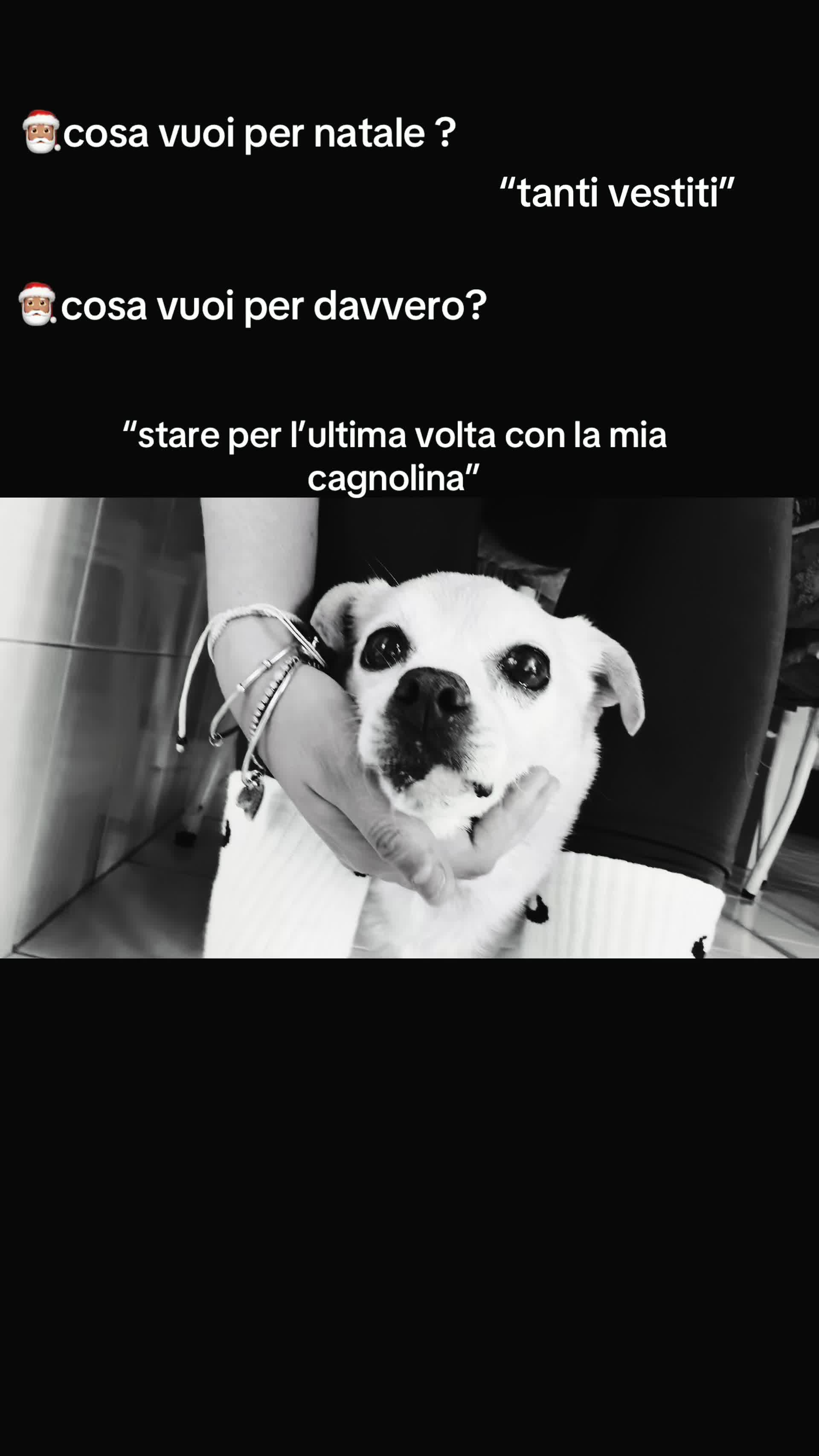 @luiss🍒